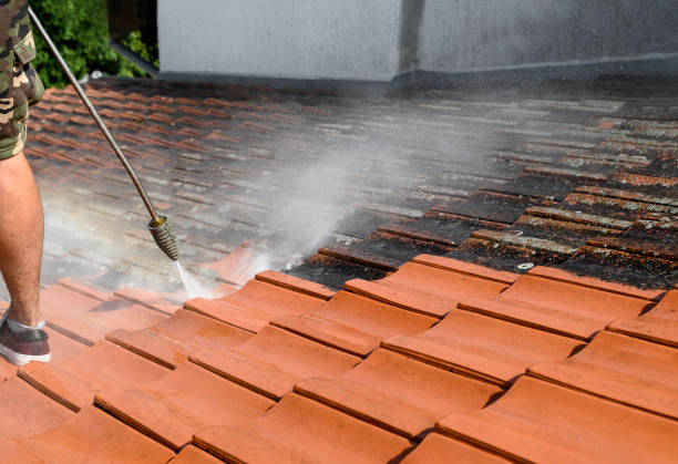 Best Pressure Washing Company Near Me  in East Mountain, TX