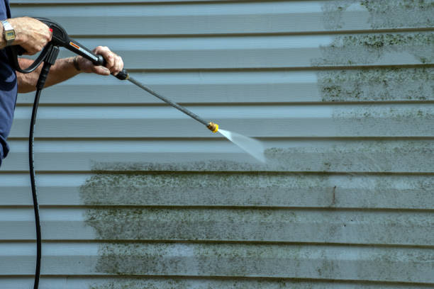 Best Exterior Home Cleaning  in East Mountain, TX